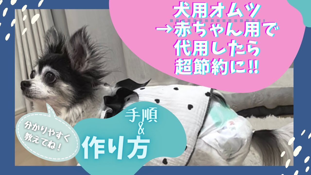 【犬のオムツ手作り】赤ちゃん用オムツで節約！尻尾穴の開け方を解説🐶小型犬のオムツ作り量産の方法　#いぬ  #シニア犬 #ペット