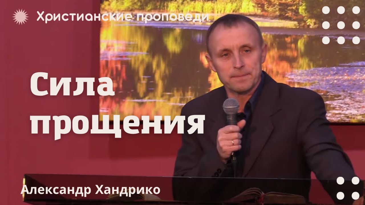 прощения александре