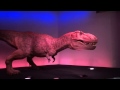 巨竜テイラノサウルスの動態模型
