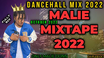MALIE DONN MIXTAPE 2022. MALIE MIX OCTOBER 2022 | DANCEHALL MIX 2022 | ONLY MALIE | DJ FLEEGO |.