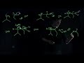 Reductive Amination