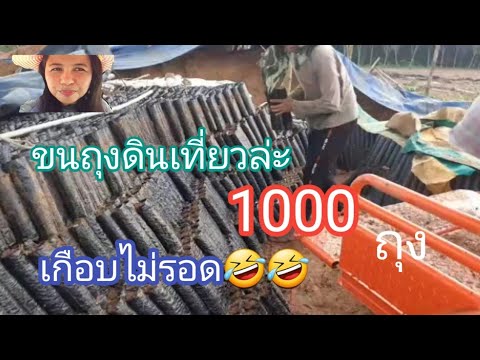 เจ้ชง ชอบเล่า ชอบไล้ ขนถุงครั้งล่ะ1000ถุงสุดท้ายเกือบไม่รอด🤣🤣ต้องยกนิ้วให้3หนุ่ม4  ขนถุงครั้งล่ะ1000ถุง สุดท้ายเกือบไม่รอด🤣🤣 ต้องยกนิ้วให้3หนุ่ม4มุม เจ้ชงชอบเล่าชอบไล้ 17สค65