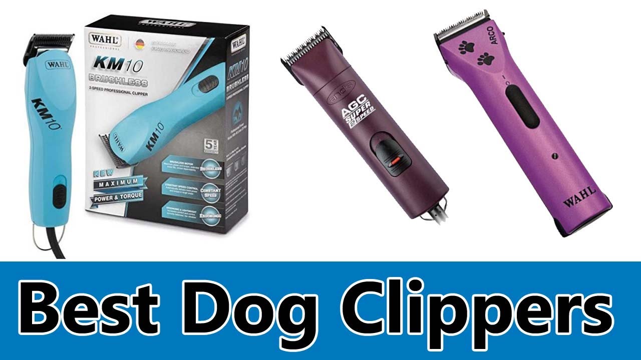 Best Dog Clippers - Top 5 Best Dog Clippers Review - YouTube