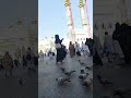 Haram Ki Rounaq Viral Makkah Like Haram Ki Rounaq Viral Makkah Like