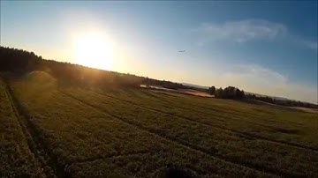 Smooth Flight,  Maxi Swift chasing 2 x Swift ll
