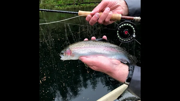 Trout fishing in Hebo Lake with Jack Harrell - Apr...
