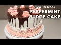 Peppermint Fudge Cake