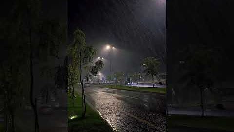 استمع إلى تلاوة مؤثرة من سورة الزخرف بصوت القارئ محمد وليد الشرعبي،تلاوة تمتاز بخشوعٍ عميقٍ