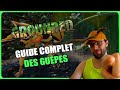 Grounded guide complet des gupes