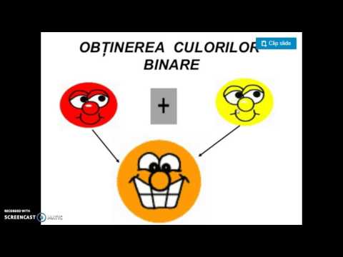 Video: Culorile Bretele: Ce Culori Sunt Disponibile și Cum Să Alegi