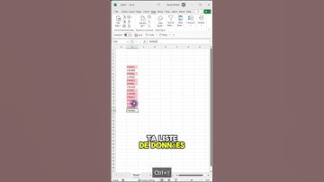 ❌ Supprimer des doublons dans Excel en 3 touches !