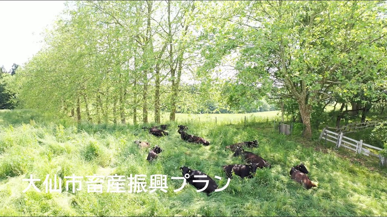 秋田県大仙市畜産振興プラン関連動画