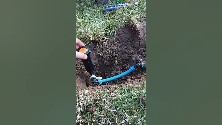 DON'T DO IT WRONG! install sprinkler HEADS this WAY ONLY! #shorts #water #diy #sprinkler
