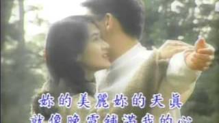 榕樹下 又是黃昏 淚的小花 200 Karaoke @blackjacksory.com 4-13-15.mpg