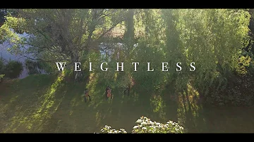 Musk Ox - Weightless (Official Video)