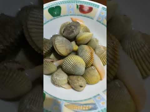 Video: Cum mănâncă conchile?