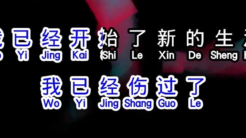 苏谭谭  《 爱过了也伤过了 》  Ai Guo Le Ye Shang Guo Le