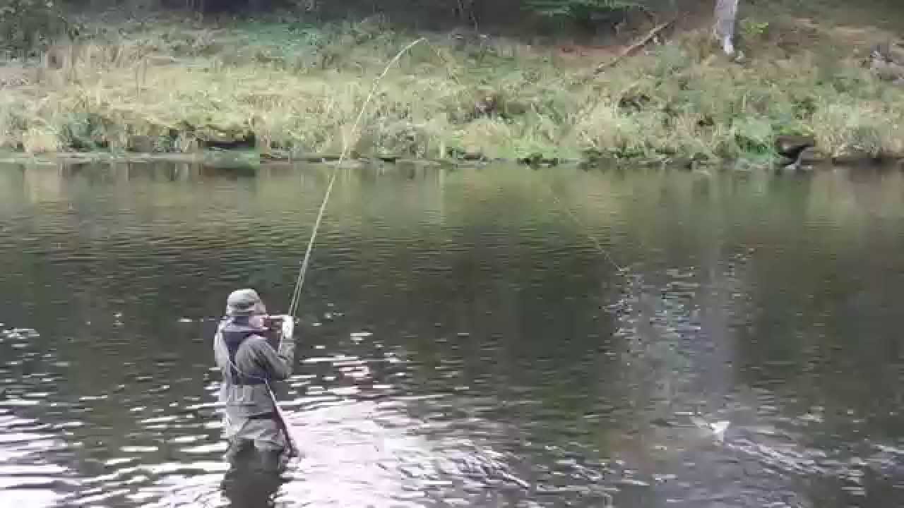 Fly Fishing River Eden Out And About With Cumbria Fly Fishing pertaining to The Elegant and Lovely fishing tips eden pertaining to Invigorate Fly Fishing River Eden Out And About With Cumbria Fly Fishing pertaining to The Elegant and Lovely fishing tips eden pertaining to Invigorate