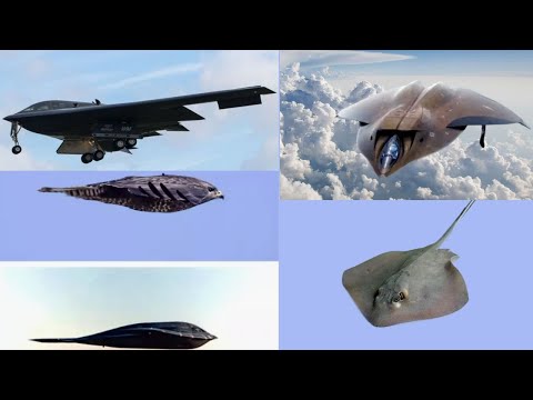 Видео: Lockheed F-117A Nighthawk. Нууц тактикийн цохилт өгөх онгоц