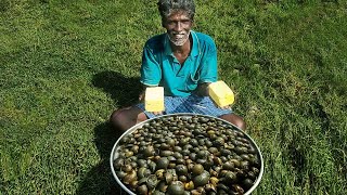 BUTTER SNAIL! Snails Picked And Cooked! Grandpa And Grandsons Picking Snails &amp; Cooking With Butter!