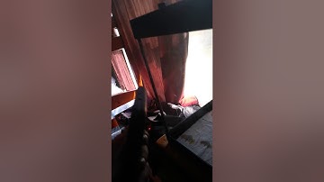 Ball python feeding part 1