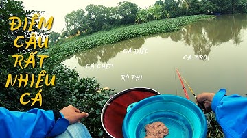 Khám Phá Điểm câu Mới Nhiều cá l CẦN THỦ ĐẤT CẢNG