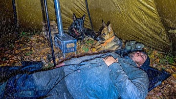 Epic Solo Camping in Heavy Rain with Dogs | Hot Tent Winter Adventure & Thunderstorm Survival