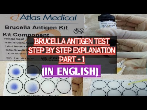 Brucella Antigen Test.Procedure & Practical explained step by step.Part 1.Abortus & Mellitus Species