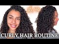 UPDATED NATURAL CURLY HAIR ROUTINE 2022! 3B/3C PRODUCTS for PERFECT HEALTHY HYDRATED DEFINED Curls!