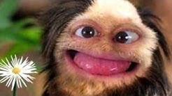 Get Robux Visit My Channel Youtube - how to earn free robux today canalcine