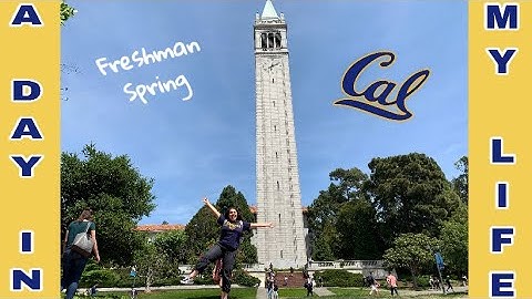 DAY IN MY LIFE I UC BERKELEY