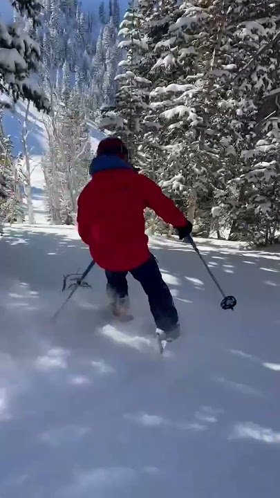 Solitude Mtn. 2/9/25