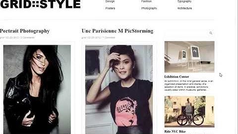 Grid Style wordpress Theme Thamemostore