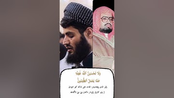 رعد الكردي يحاكي علي جابر ما تيسر من سورة إبراهيم