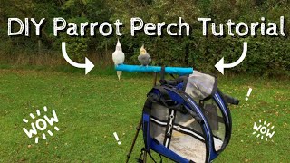 How To Build A Parrot T Stand || DIY Parrot Perches by Soaring Wings Flock 3,350 views 3 years ago 6 minutes, 14 seconds