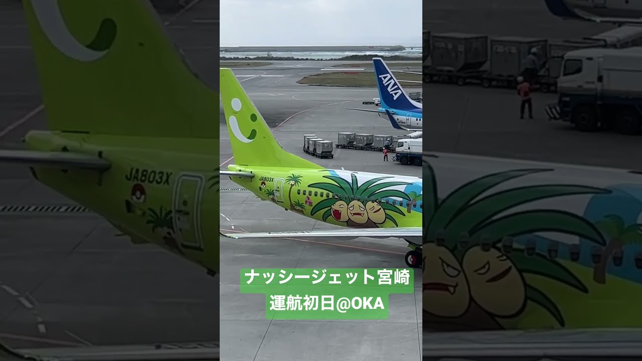初便機内限定配布 ソラシドエア solaseedair 新規就航記念 搭乗