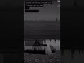 لو ان قلبي على اللي صار متعود صوتي