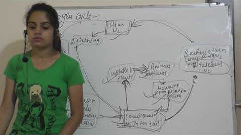 Nitrogen cycle class 8 science ncert