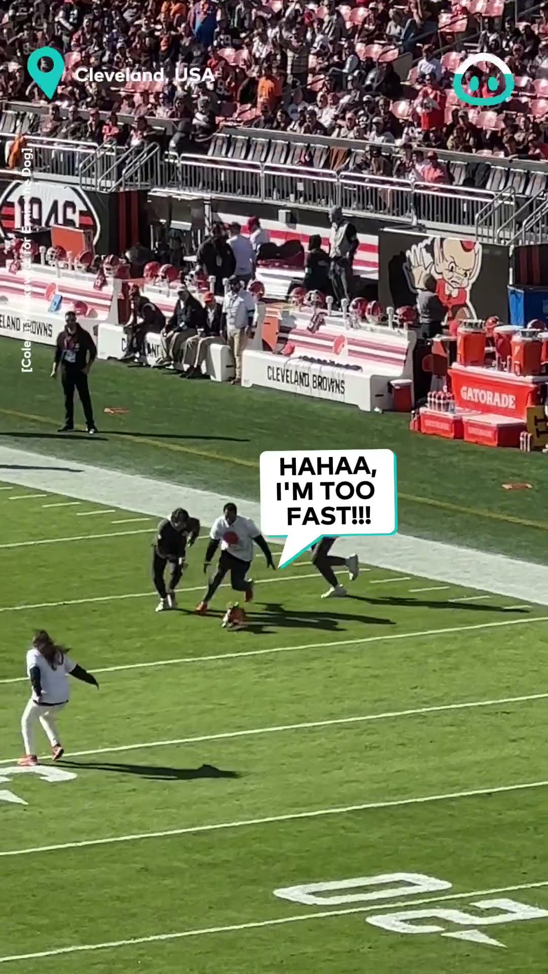 Wiener Dog Runs Riot at Football Game  || ViralHog
