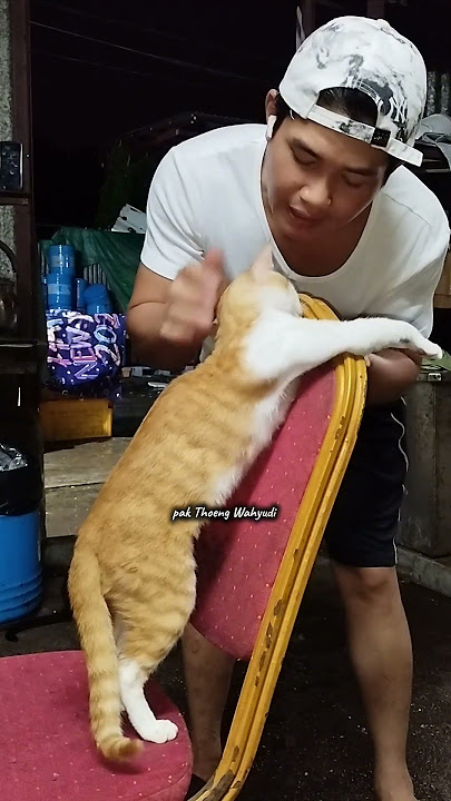 sedih rasanya ninggalin dia #bmihongkong #tklhongkong #funnycats