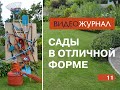 Видео журнал «Сады в отличной форме №11»