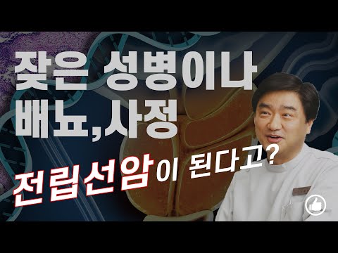 한국남성의 자위횟수 전세계 몇 위 전립선암 지식 Mp3