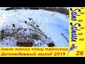 Ловля певчих птиц тайником - Долгожданный выход 2019 - 26 ч.