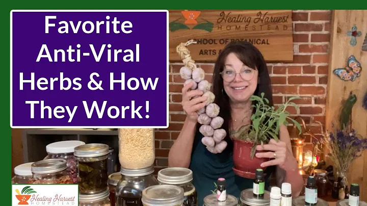 Herbal Anti-Virals and How to Use - DayDayNews