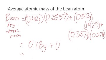 Bean Bag Isotopes Lab Review