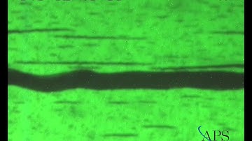 Buckling Instability of Self-Assembled Colloidal Columns