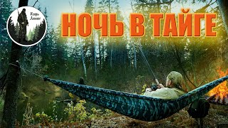 В Тайге с ночёвкой! Рыбалка в Гамаке. Шампиньоны на углях.