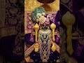 jay Dwarkadhis