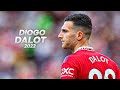 Diogo Dalot   Solid in Defense  Good in Attack