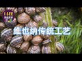 去维也纳必吃的东西 - 古格穆克(Gugumuck )蜗牛 专有养殖场人工饲养